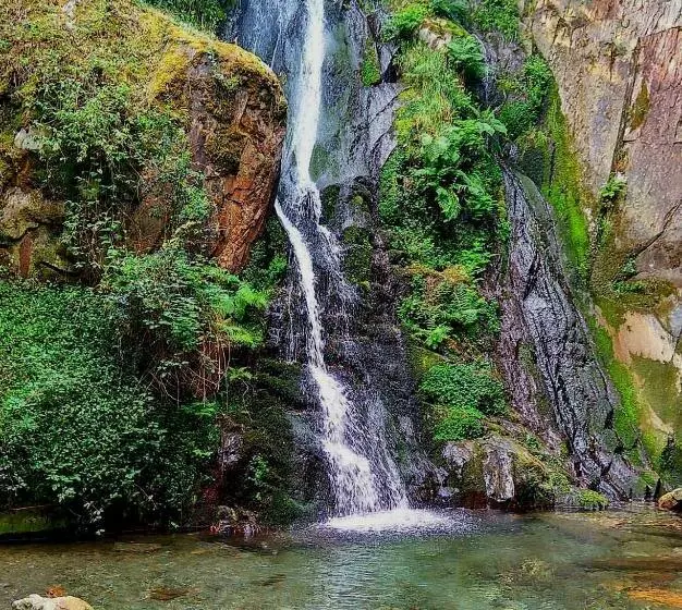 Aamiaismajoitus (B&B) Fonte D  Amandos