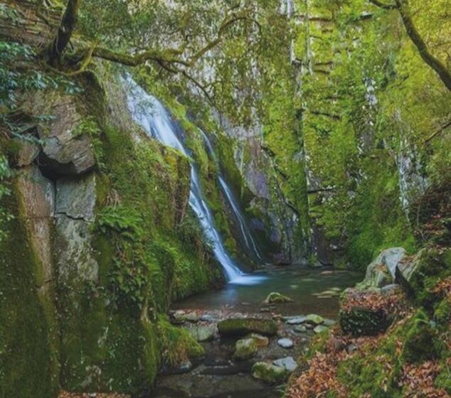 Bed and Breakfast Fonte D  Amandos
