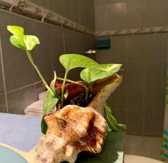 Estudios Rehilete