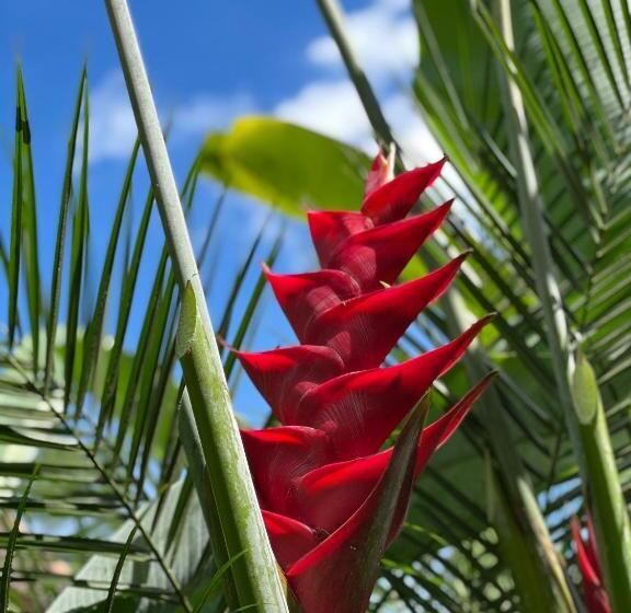 בית מלון כפרי Puri Kasih Gottlieb