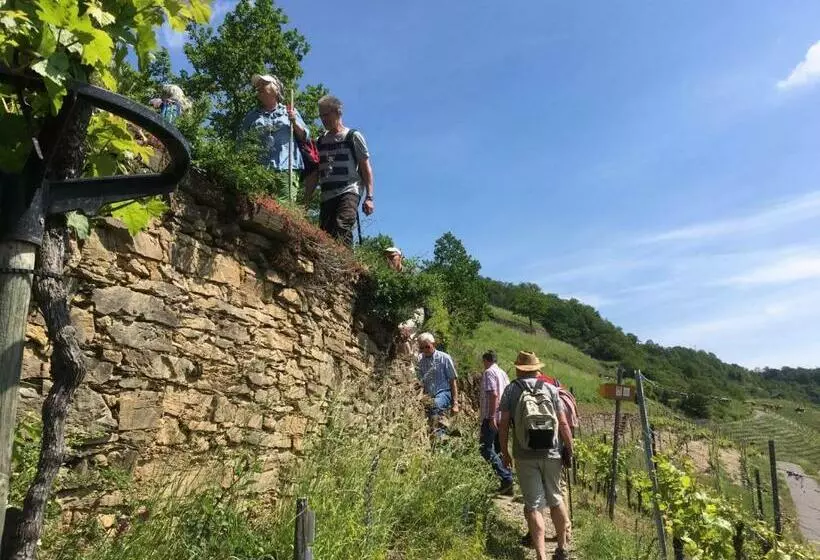 ホテル Winzerhof Gietzen