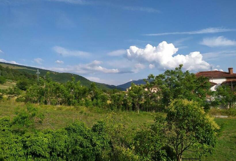 膳宿费 Affittacamere Mina