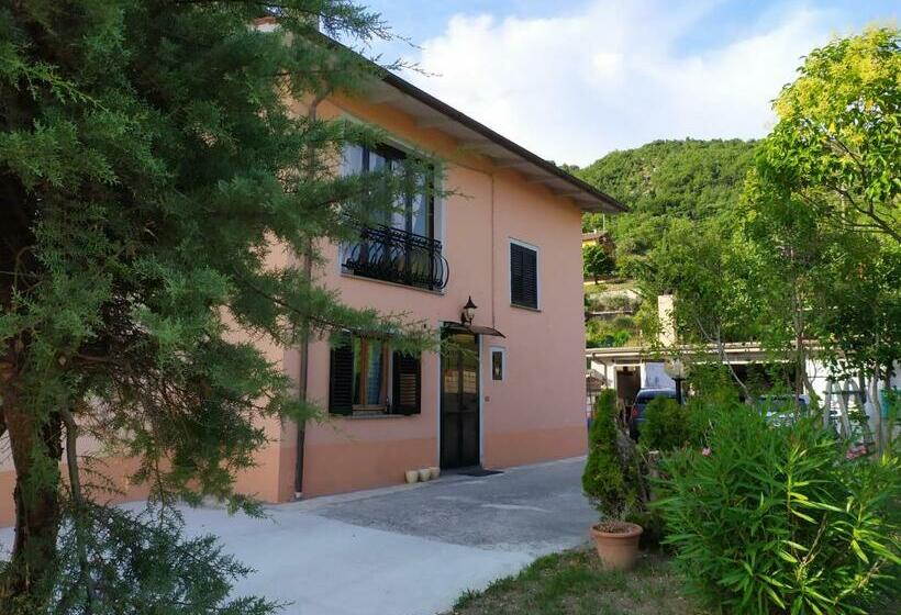 膳宿费 Affittacamere Mina