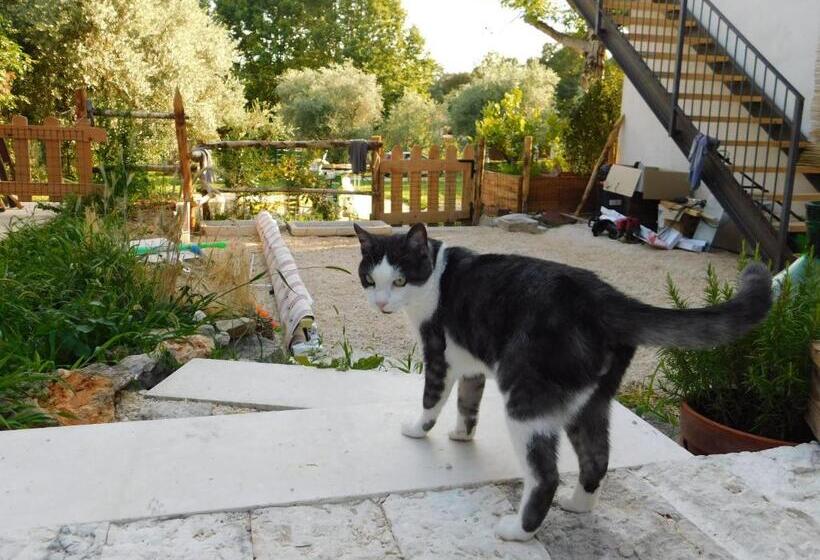 ペンション La Casa Di Paglia