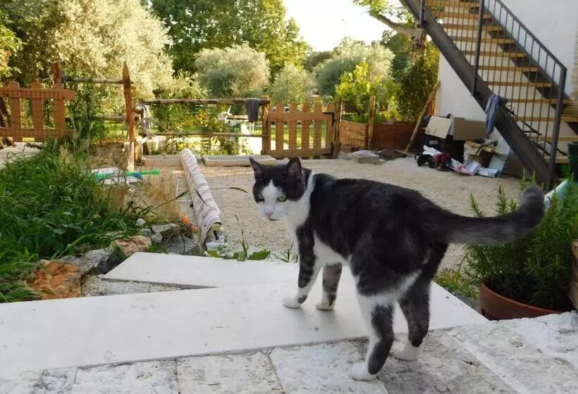 ペンション La Casa Di Paglia