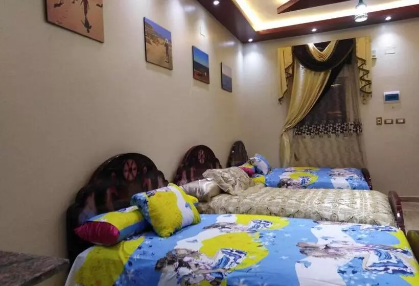 پانسیون Safari Abu Simbel