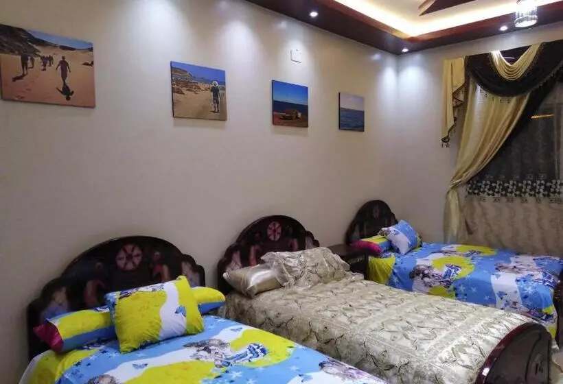 پانسیون Safari Abu Simbel