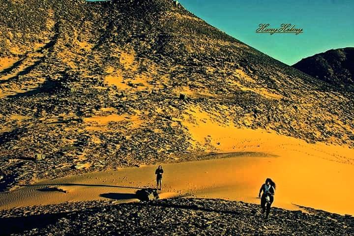 پانسیون Safari Abu Simbel