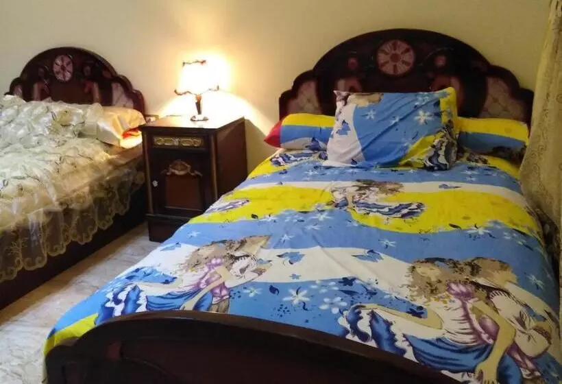 پانسیون Safari Abu Simbel