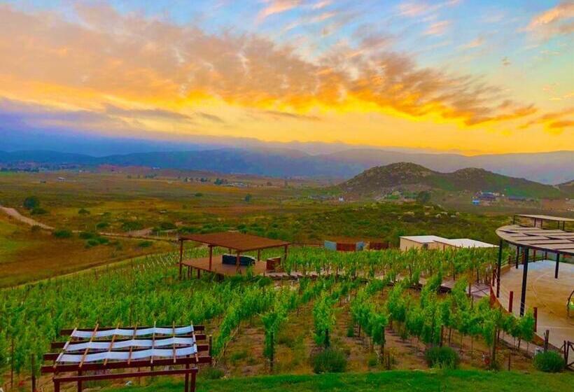 بنسيون Siempre Valle Hotel Boutique