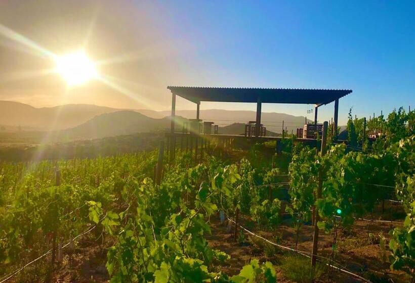 بنسيون Siempre Valle Hotel Boutique