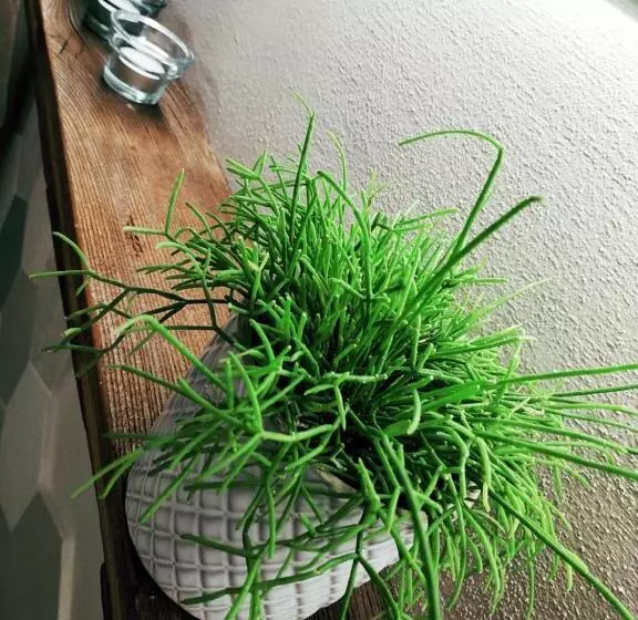 B&b Botton D Oro Valle Imagna