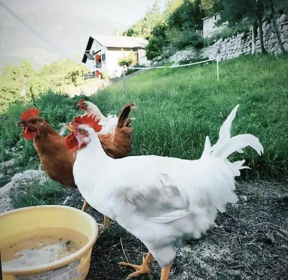 B&b Botton D Oro Valle Imagna