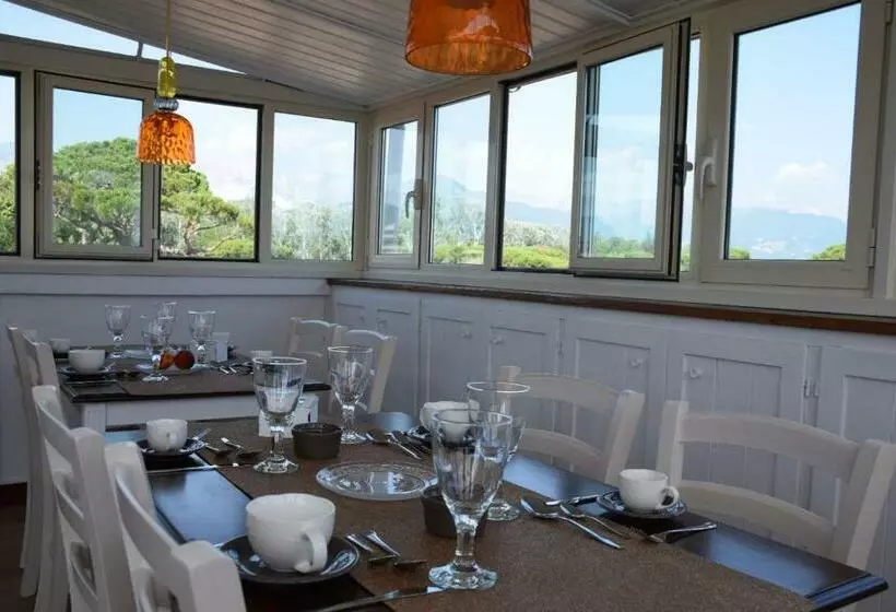 Aamiaismajoitus (B&B) Levante