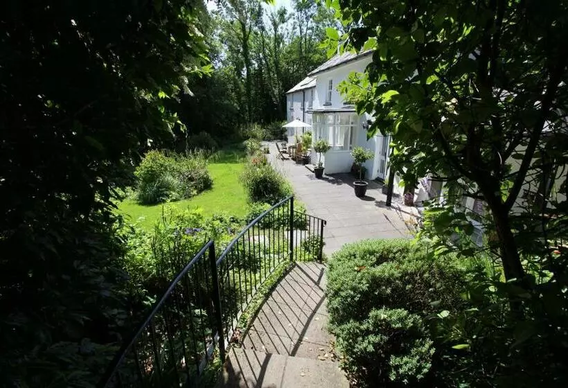 Aamiaismajoitus (B&B) Rhydyfran Aberaeron Lampeter West Wales, Ceredigion