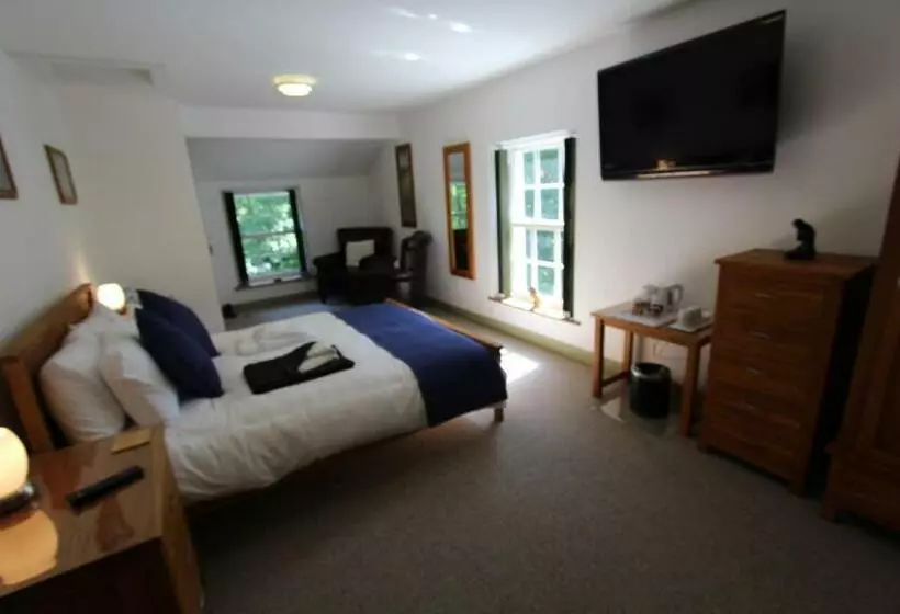 Aamiaismajoitus (B&B) Rhydyfran Aberaeron Lampeter West Wales, Ceredigion