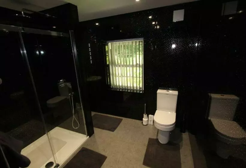 Aamiaismajoitus (B&B) Rhydyfran Aberaeron Lampeter West Wales, Ceredigion