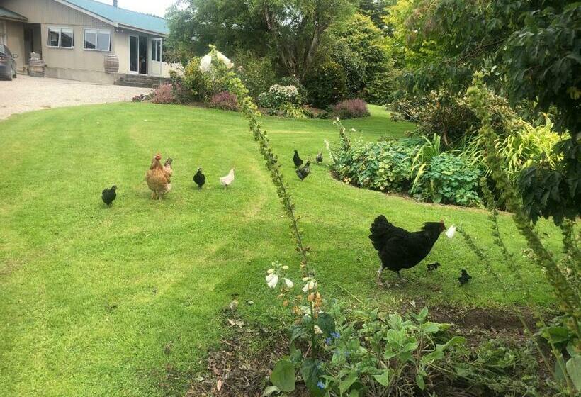 Bed and Breakfast Southland Organic Farmstay