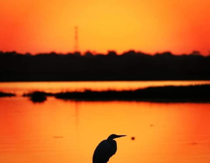Пансион Associação Sabesp Ilha Comprida