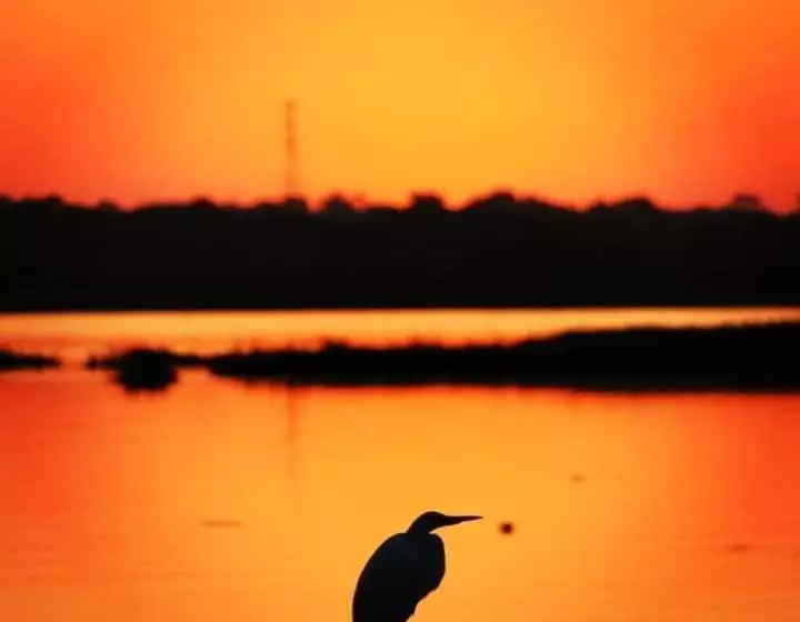 ペンション Associação Sabesp Ilha Comprida