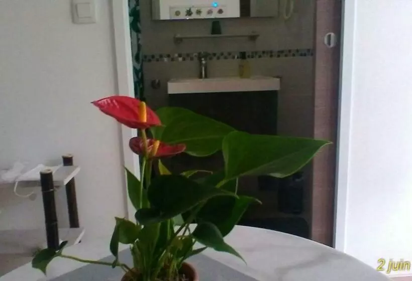 ペンション Le Clos Des Palombes