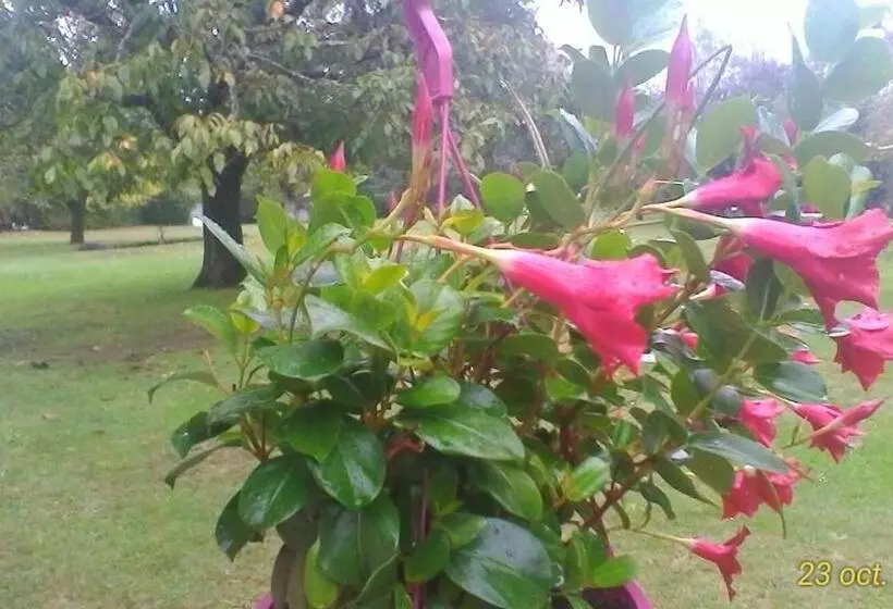 ペンション Le Clos Des Palombes