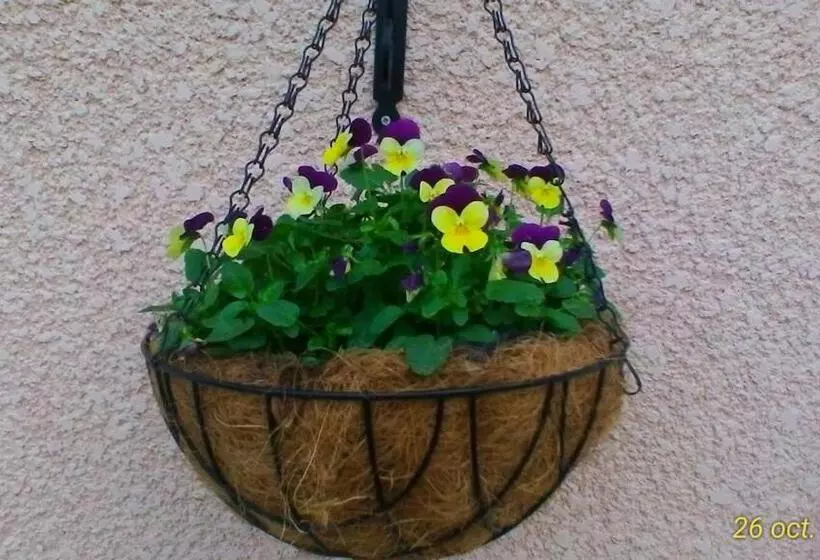 ペンション Le Clos Des Palombes