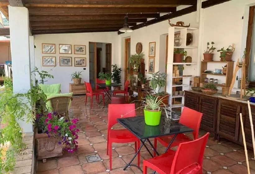 Arega B&b