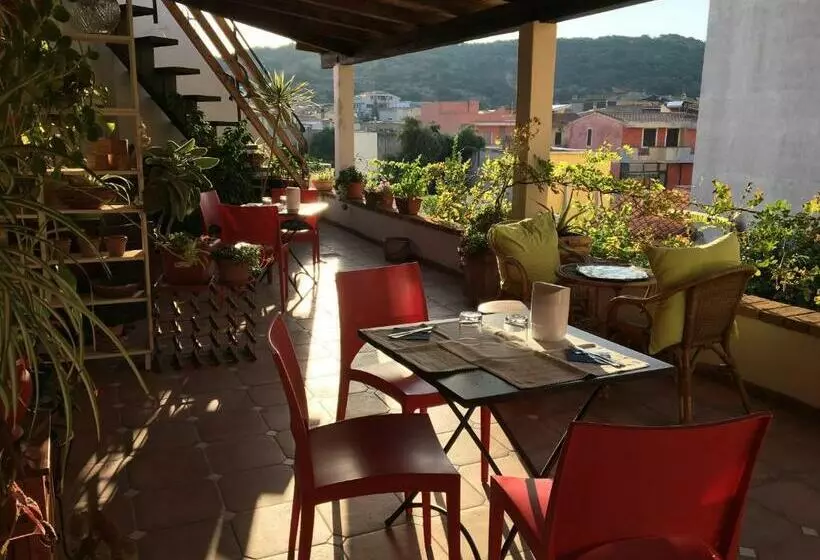 Arega B&b