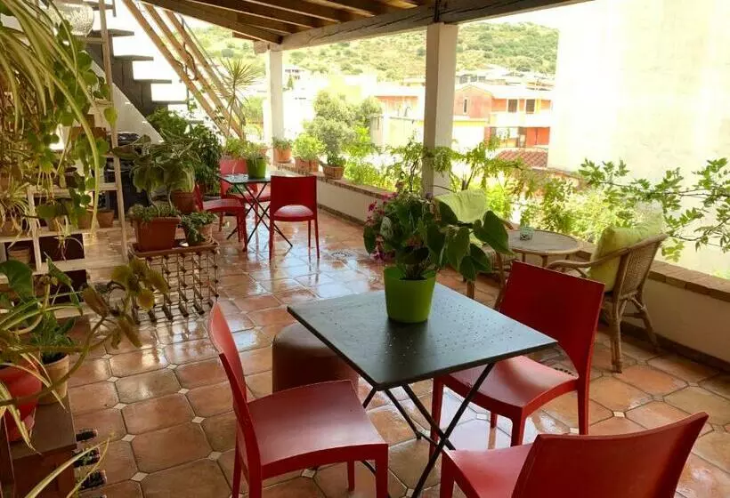 Arega B&b