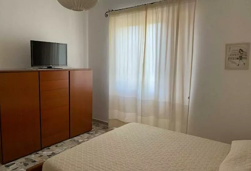 Arega B&b