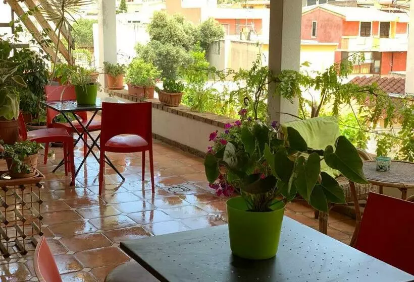 Arega B&b