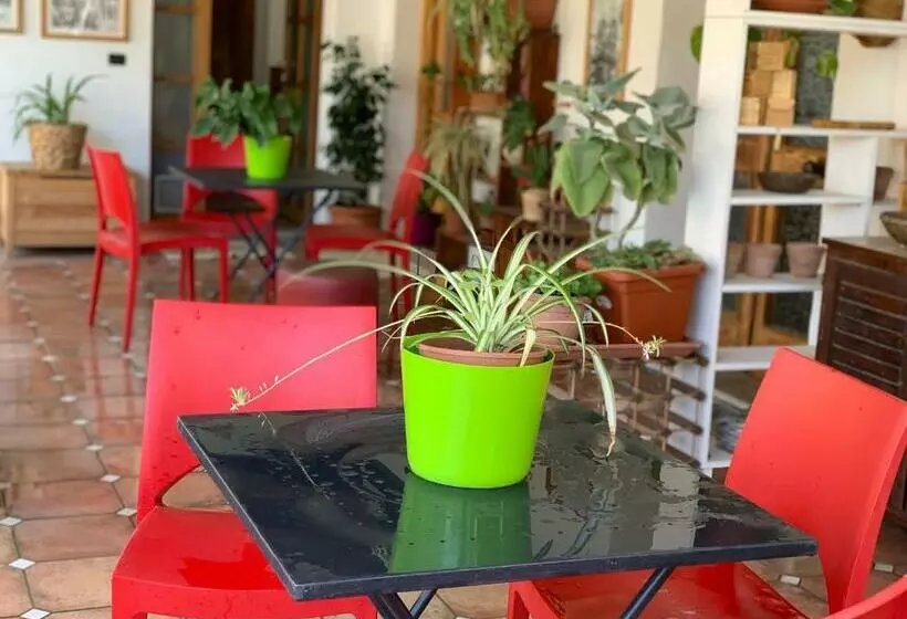 Arega B&b