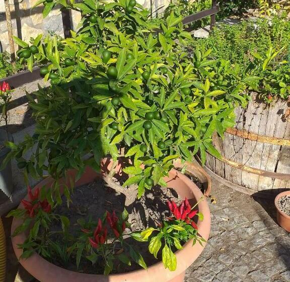 Bed and Breakfast Appartamento House Ida