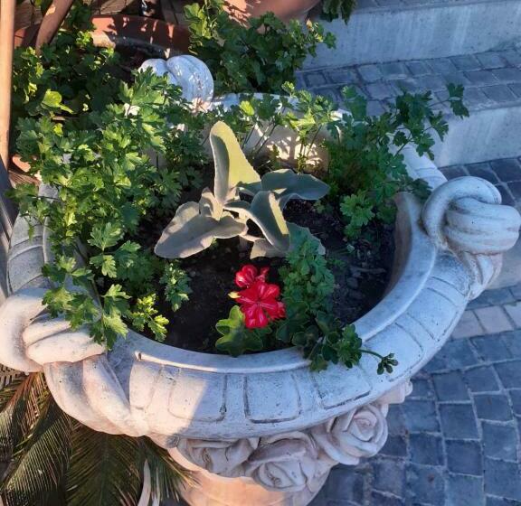 Bed and Breakfast Appartamento House Ida