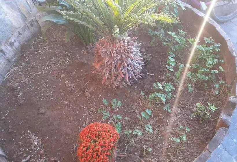 تختخواب و صبحانه Appartamento House Ida