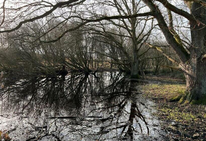 Bed and Breakfast Bed&breakfast Jonker