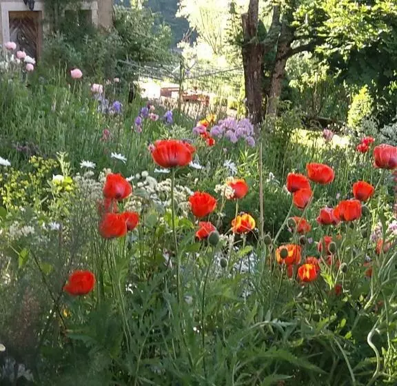 تختخواب و صبحانه La Combe Fleurie