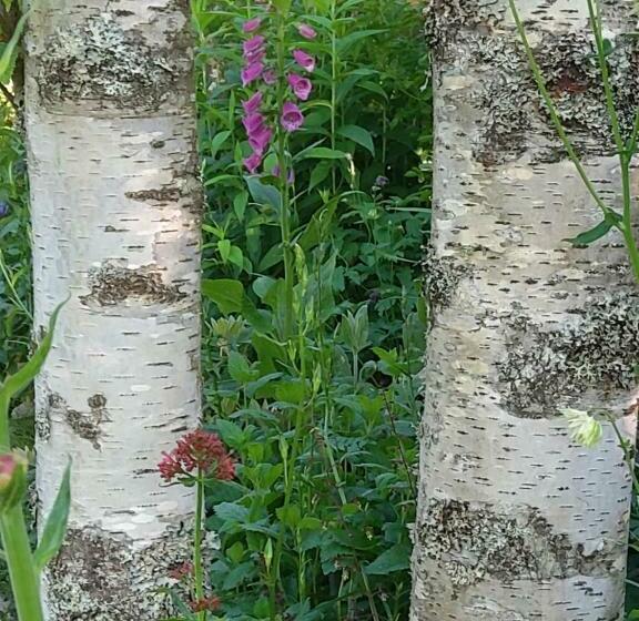 ベッドアンドブレックファースト La Combe Fleurie