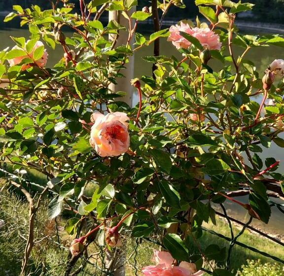 ベッドアンドブレックファースト La Combe Fleurie