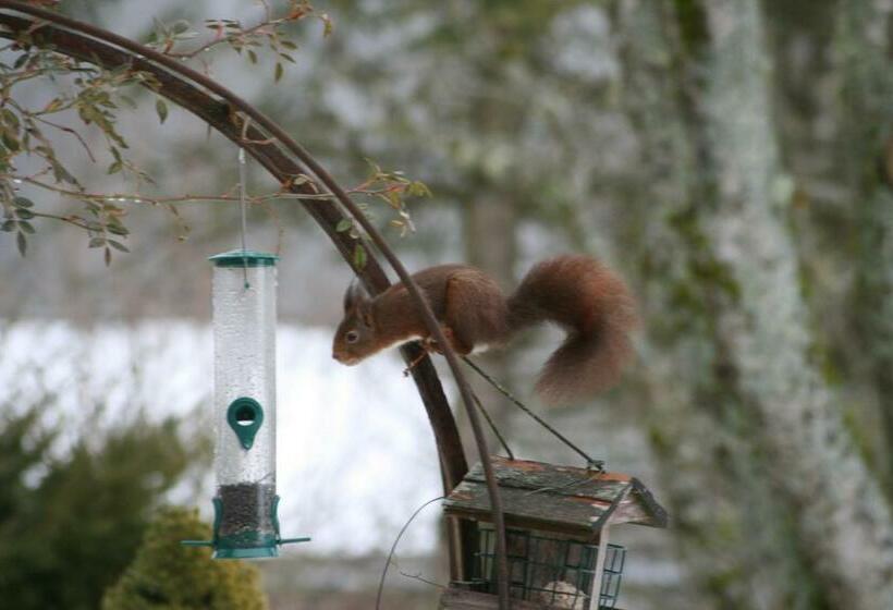 ベッドアンドブレックファースト La Combe Fleurie