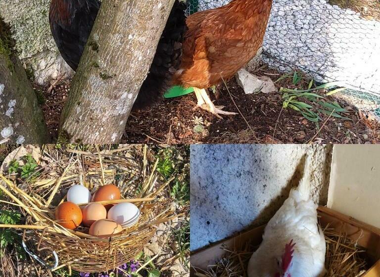 ベッドアンドブレックファースト La Combe Fleurie