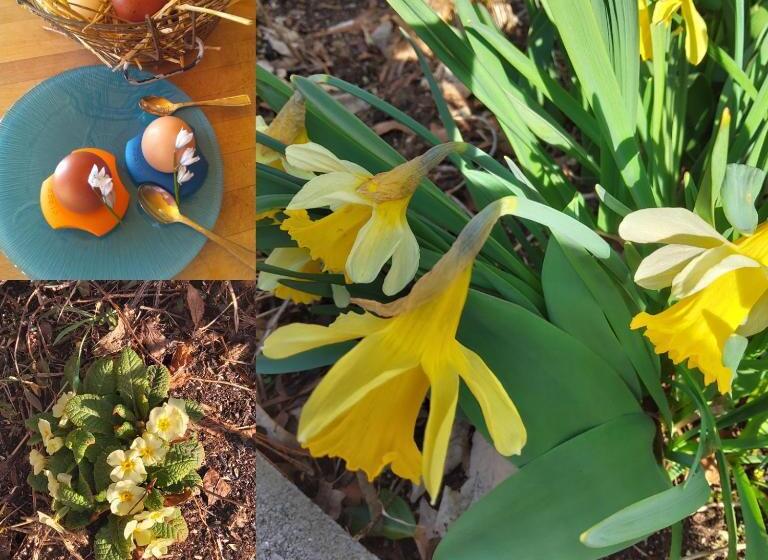 ベッドアンドブレックファースト La Combe Fleurie