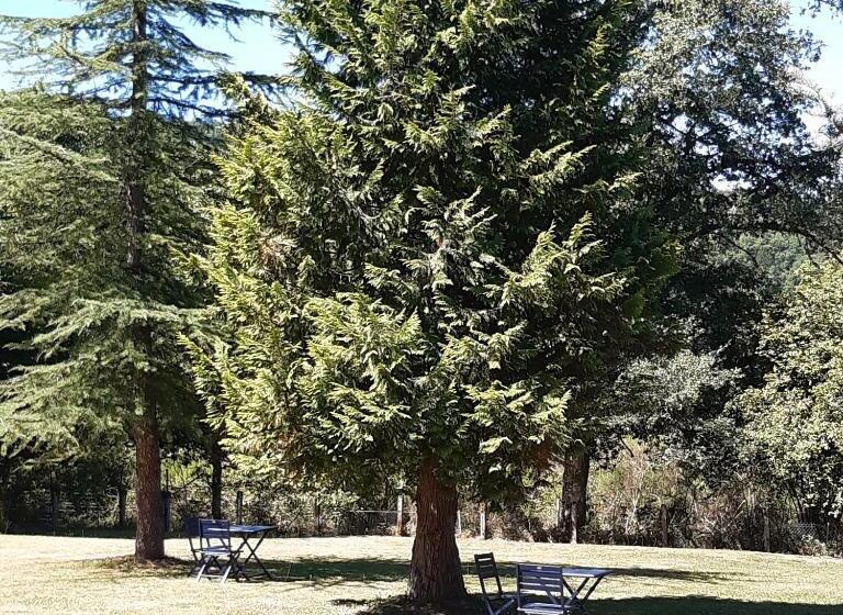 ベッドアンドブレックファースト La Maison