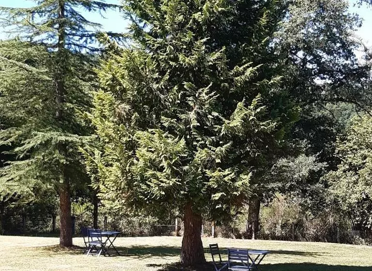 Aamiaismajoitus (B&B) La Maison