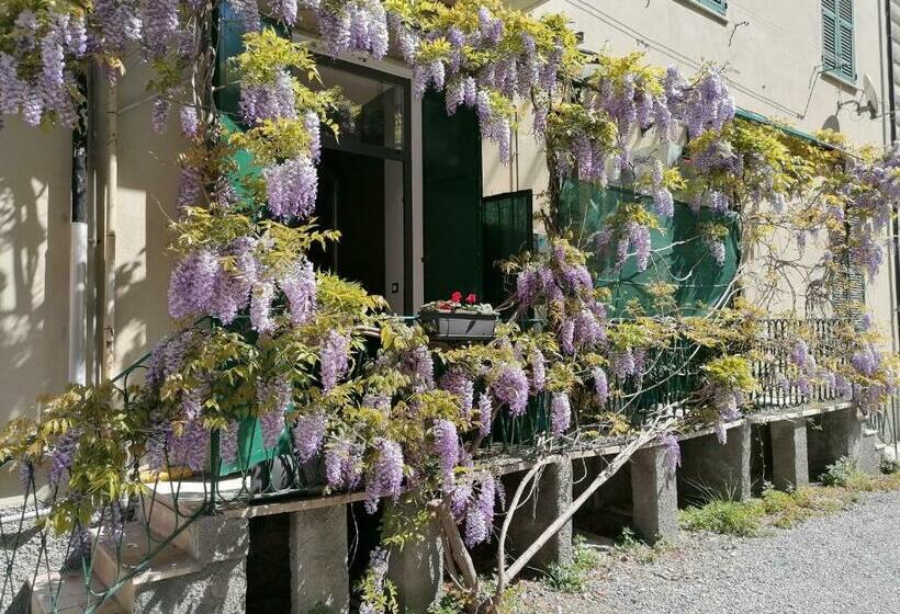 Il Giardino Di Elettra   Freeparking