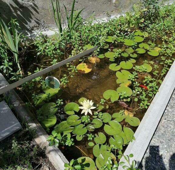 Il Giardino Di Elettra   Freeparking