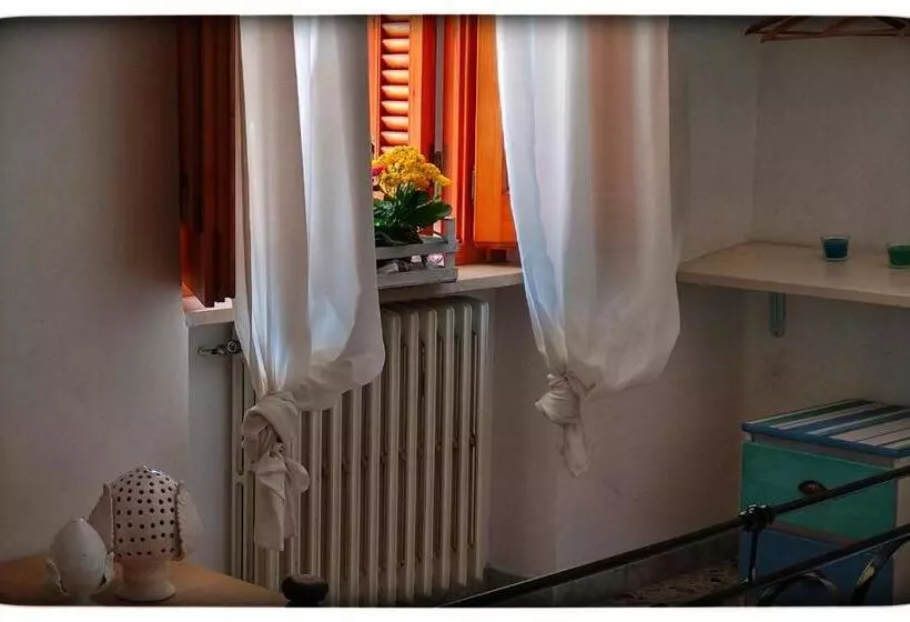 B&b Il Faso Vicino Zoosafari Di Fasano