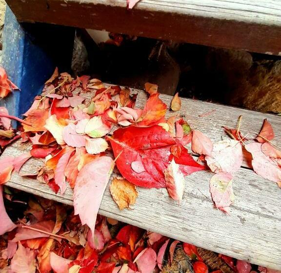 צימר Ble Mavi   Studio For 2