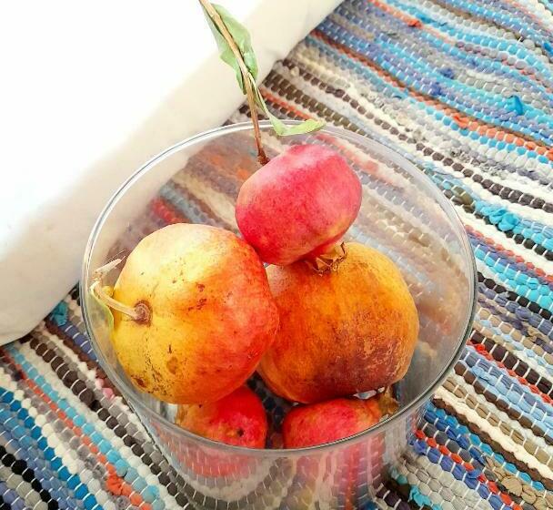 צימר Ble Mavi   Studio For 2